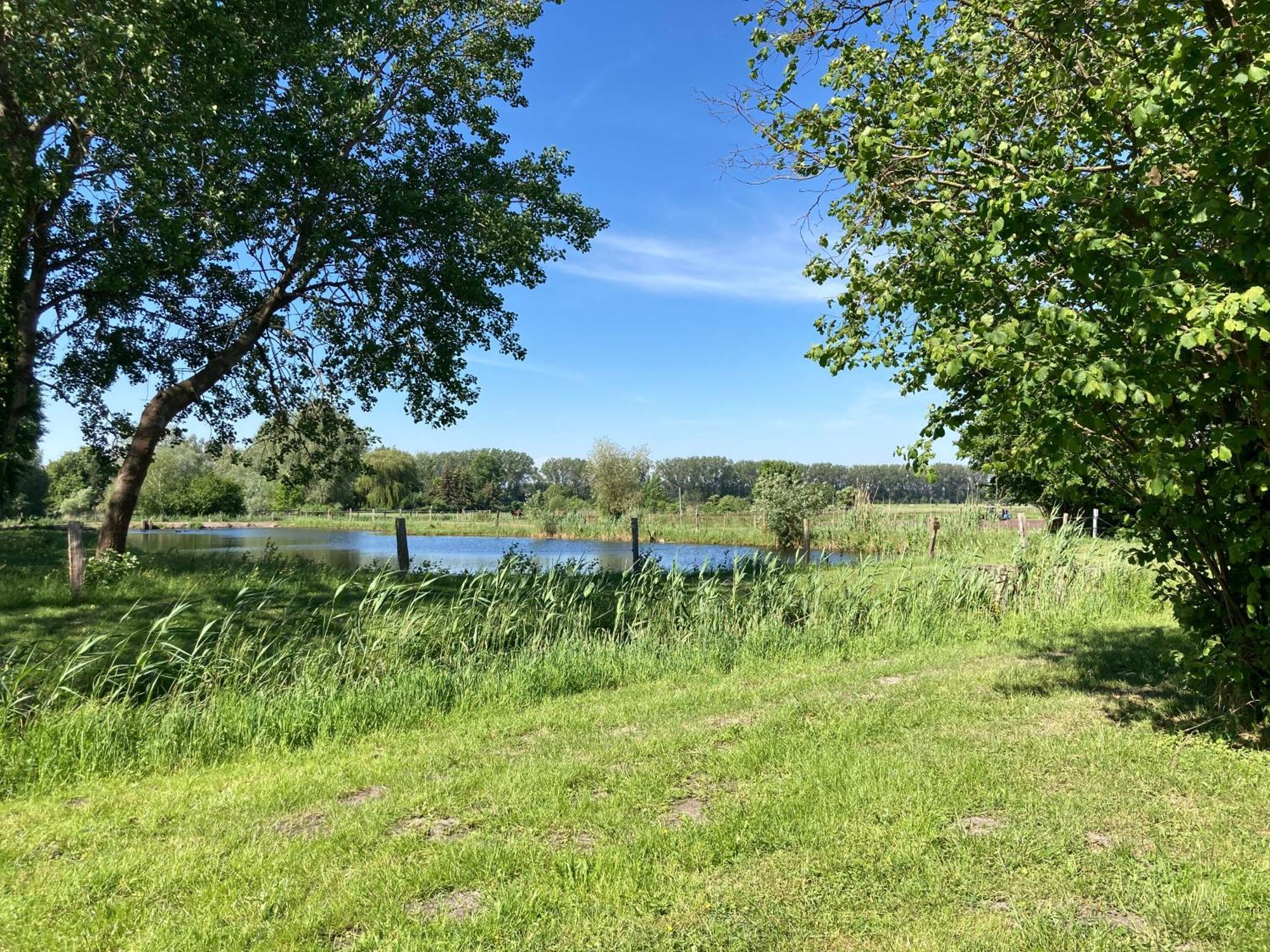 Apartment Teichland Linum *